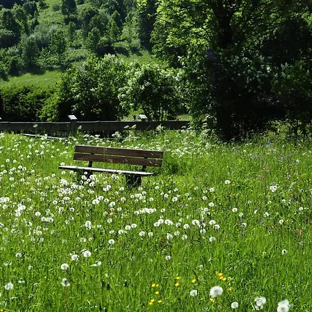 & Wiesenruh * Bichlbach