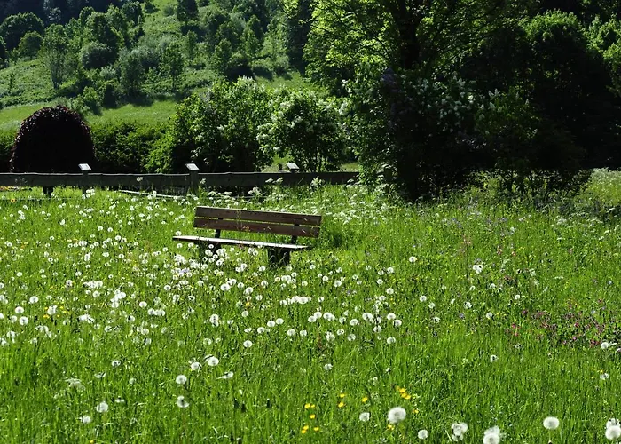 & Wiesenruh * Bichlbach
